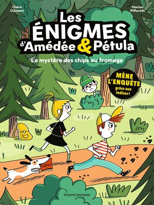 cover image of Les énigmes d'Amédée et Pétula, Tome 02